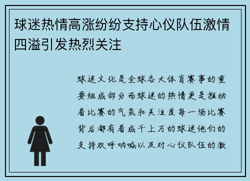 球迷热情高涨纷纷支持心仪队伍激情四溢引发热烈关注