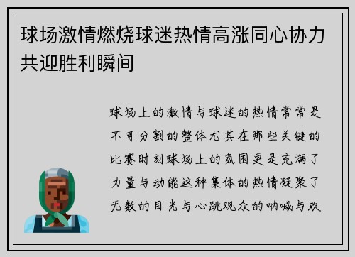 球场激情燃烧球迷热情高涨同心协力共迎胜利瞬间